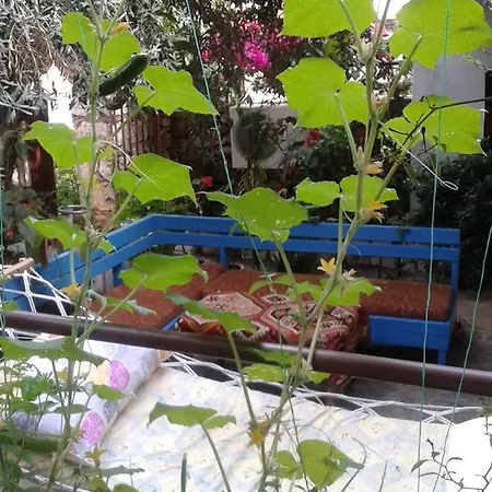 Konukevi Likya 2*